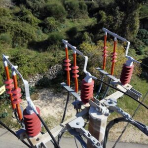 Изолятор из силикона, Avifaune, SANERGRID