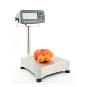 Настольный весы, R420, Rinstrum