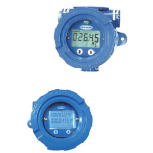 Индикатор для процесса, D 1000 series, Golden Mountain Enterprise