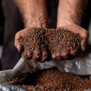 Закупка комплексных удобрений, тендер