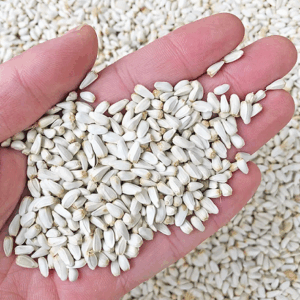 Закупка сафлора, тендер