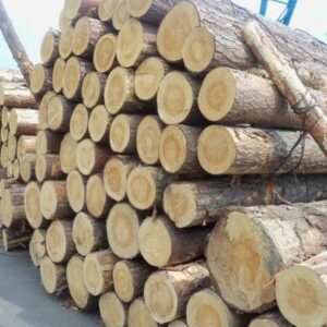Закупка строевого леса сосна, тендер