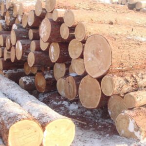 Закупка строевого леса, тендер